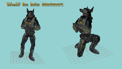 wolf_helmet.jpg