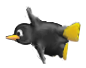 swimmingtux_ladderfeet1.png