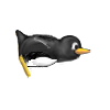 swim (2).png