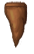 forest_stalactite_1.png