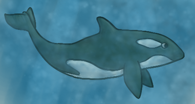 Orca.png