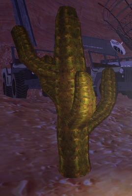 canyon42-cactus.png