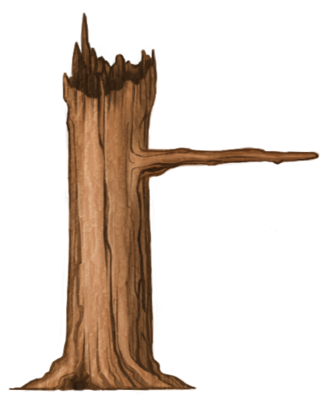 Tree.png