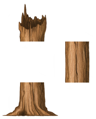 Tree loop.png