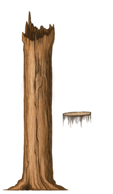 Tree tall and stump.png