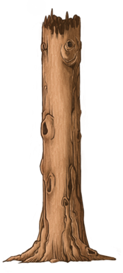 Trunk.png