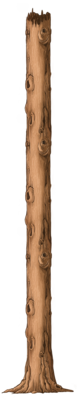 Trunk 3.png