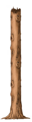 Trunk 2.png