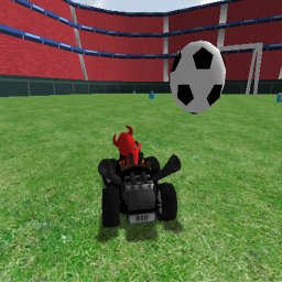 soccer_field_screenshot.jpg