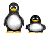 tux-front.png