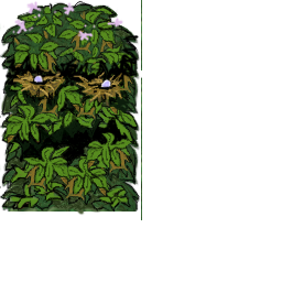 forest-monster.png
