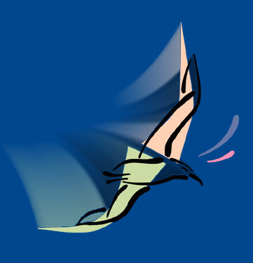 bird_motion.jpg