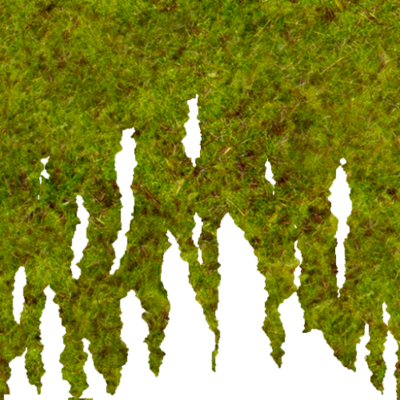 grass-border.png