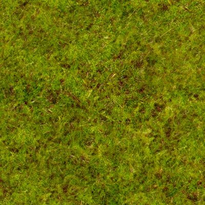 grass2.jpg