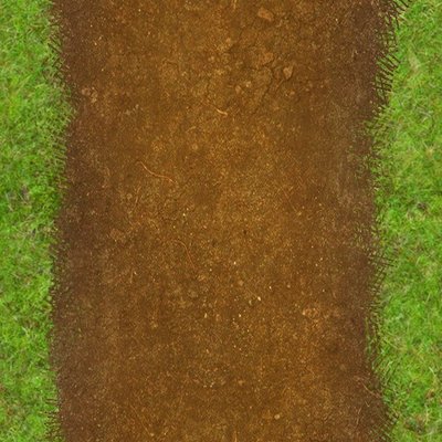grass2_orig.jpg