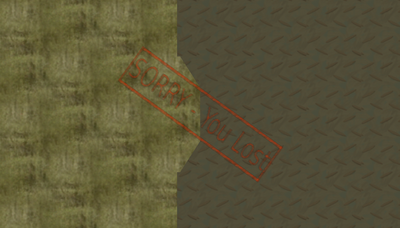 sorryyoulost.png