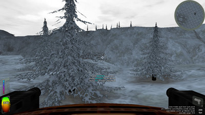 snowpine.jpg
