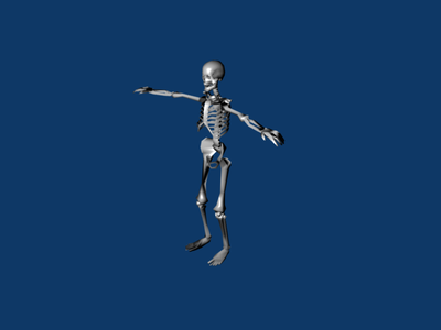 Skeleton.png