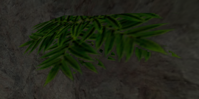 plant.png