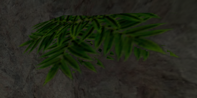 plant.png