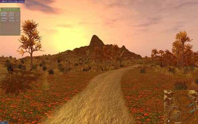 sunsetphoto.jpg