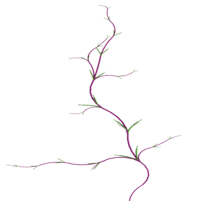 plantb.png