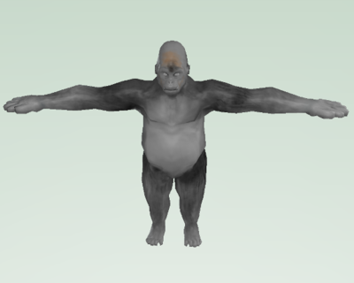 gorilla.png