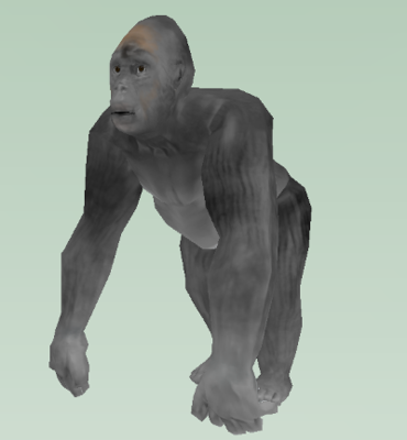 gorilla.png